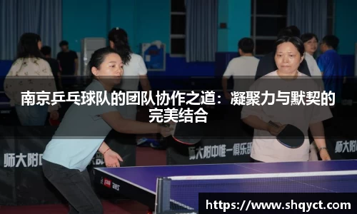 bsports官网